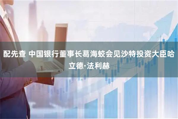 配先查 中国银行董事长葛海蛟会见沙特投资大臣哈立德·法利赫