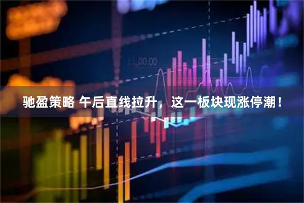 驰盈策略 午后直线拉升，这一板块现涨停潮！