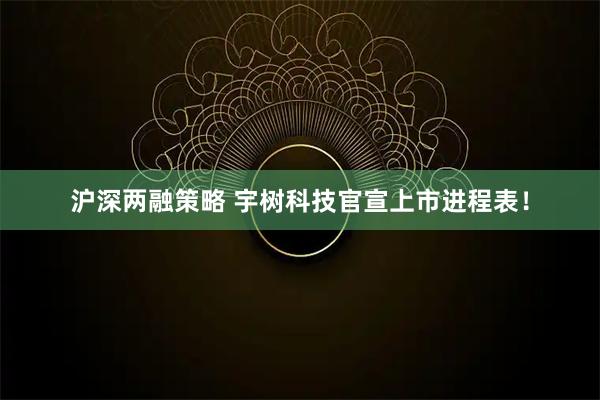 沪深两融策略 宇树科技官宣上市进程表！