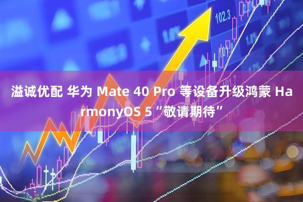 溢诚优配 华为 Mate 40 Pro 等设备升级鸿蒙 HarmonyOS 5“敬请期待”