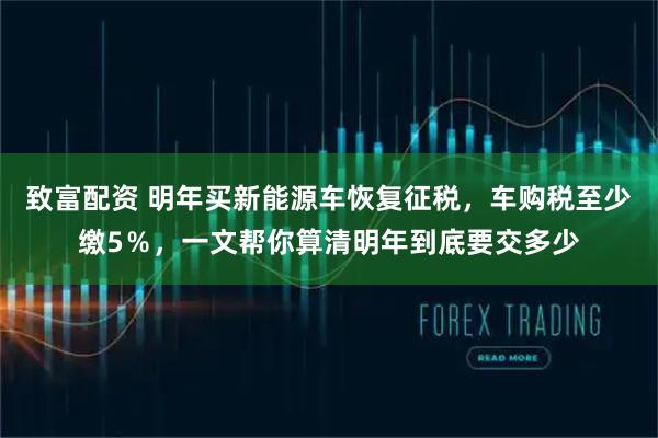 致富配资 明年买新能源车恢复征税，车购税至少缴5％，一文帮你算清明年到底要交多少