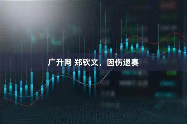 广升网 郑钦文，因伤退赛
