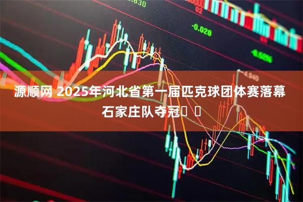 源顺网 2025年河北省第一届匹克球团体赛落幕 石家庄队夺冠​​