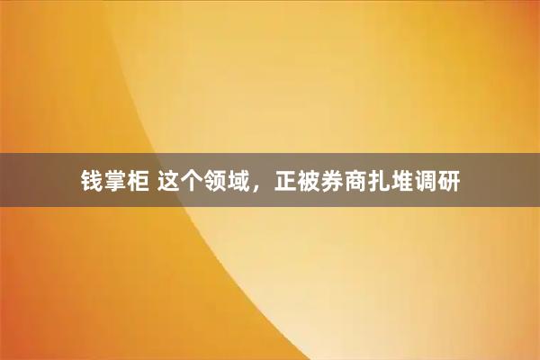 钱掌柜 这个领域，正被券商扎堆调研