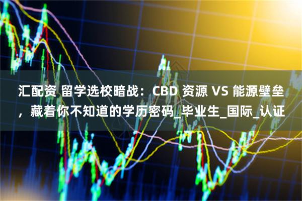 汇配资 留学选校暗战：CBD 资源 VS 能源壁垒，藏着你不知道的学历密码_毕业生_国际_认证