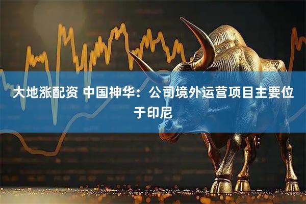 大地涨配资 中国神华：公司境外运营项目主要位于印尼